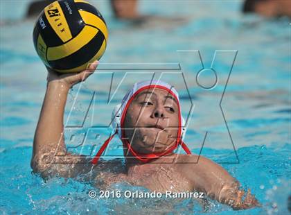 Thumbnail 1 in Olympian @ Hilltop photogallery.