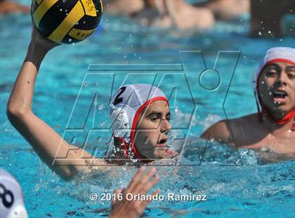Thumbnail 3 in Olympian @ Hilltop photogallery.