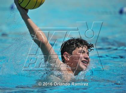 Thumbnail 2 in Olympian @ Hilltop photogallery.