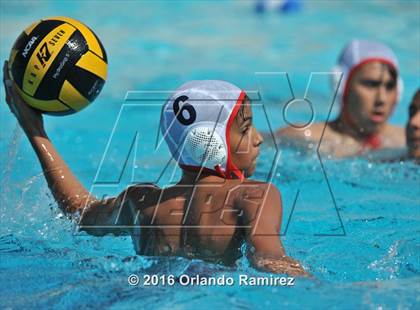 Thumbnail 1 in Olympian @ Hilltop photogallery.