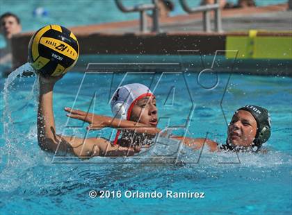 Thumbnail 2 in Olympian @ Hilltop photogallery.