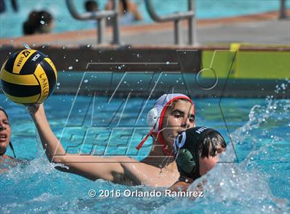 Thumbnail 2 in Olympian @ Hilltop photogallery.