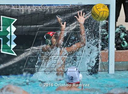 Thumbnail 1 in Olympian @ Hilltop photogallery.