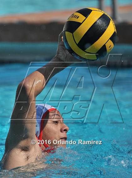 Thumbnail 1 in Olympian @ Hilltop photogallery.