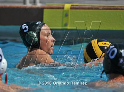 Thumbnail 1 in Olympian @ Hilltop photogallery.