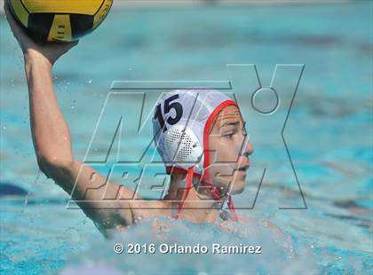 Thumbnail 1 in Olympian @ Hilltop photogallery.