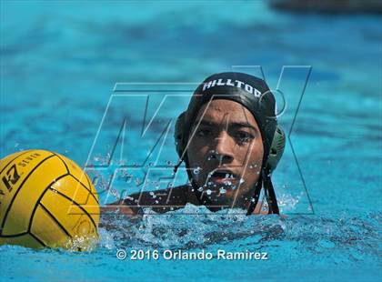 Thumbnail 3 in Olympian @ Hilltop photogallery.