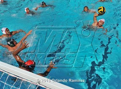 Thumbnail 3 in Olympian @ Hilltop photogallery.