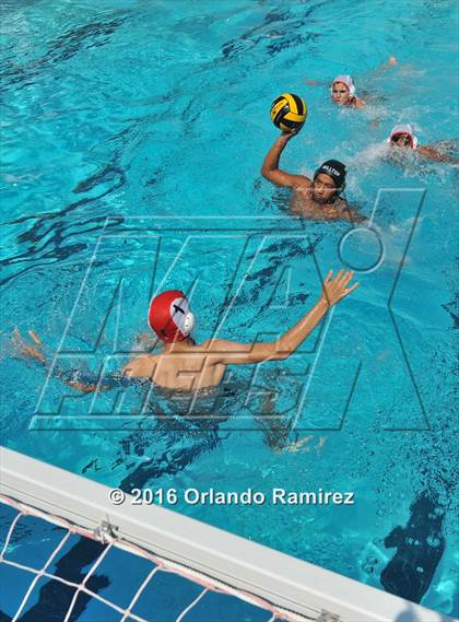 Thumbnail 3 in Olympian @ Hilltop photogallery.