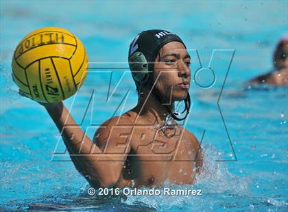 Thumbnail 3 in Olympian @ Hilltop photogallery.