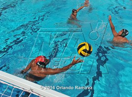 Thumbnail 1 in Olympian @ Hilltop photogallery.