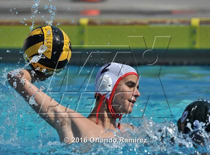 Thumbnail 1 in Olympian @ Hilltop photogallery.