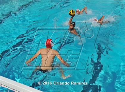 Thumbnail 1 in Olympian @ Hilltop photogallery.