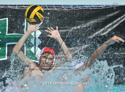 Thumbnail 3 in Olympian @ Hilltop photogallery.