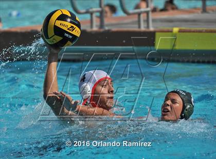 Thumbnail 3 in Olympian @ Hilltop photogallery.