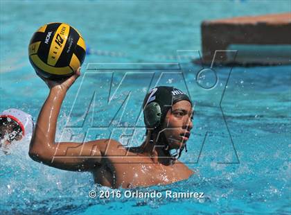 Thumbnail 3 in Olympian @ Hilltop photogallery.