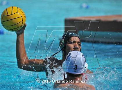 Thumbnail 2 in Olympian @ Hilltop photogallery.