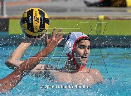 Thumbnail 2 in Olympian @ Hilltop photogallery.