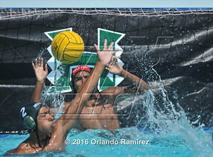 Thumbnail 3 in Olympian @ Hilltop photogallery.