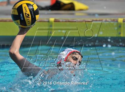 Thumbnail 2 in Olympian @ Hilltop photogallery.