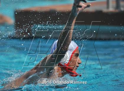 Thumbnail 1 in Olympian @ Hilltop photogallery.