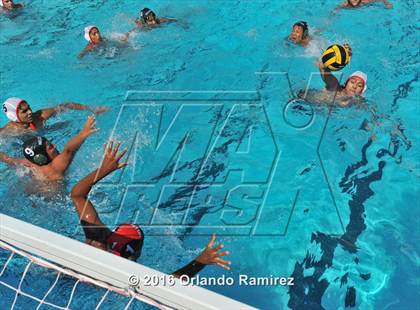 Thumbnail 1 in Olympian @ Hilltop photogallery.