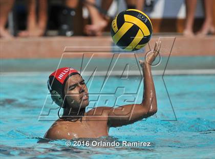 Thumbnail 3 in Olympian @ Hilltop photogallery.