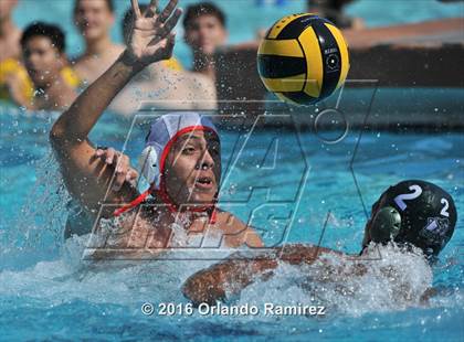 Thumbnail 2 in Olympian @ Hilltop photogallery.