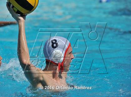 Thumbnail 2 in Olympian @ Hilltop photogallery.