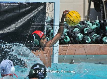 Thumbnail 3 in Olympian @ Hilltop photogallery.