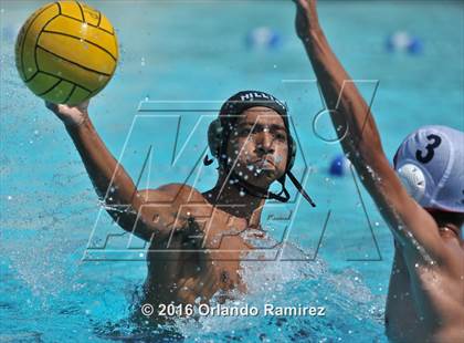 Thumbnail 3 in Olympian @ Hilltop photogallery.