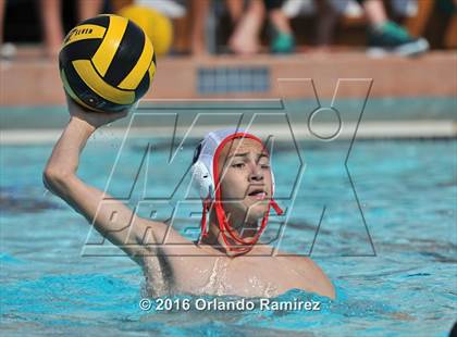 Thumbnail 1 in Olympian @ Hilltop photogallery.