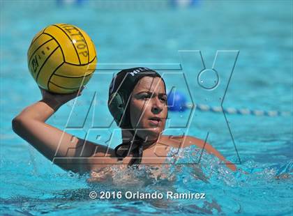 Thumbnail 1 in Olympian @ Hilltop photogallery.