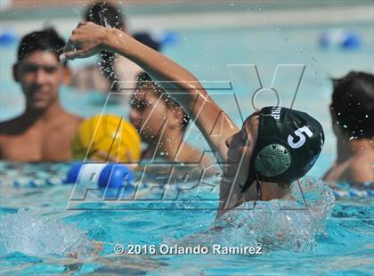Thumbnail 3 in Olympian @ Hilltop photogallery.