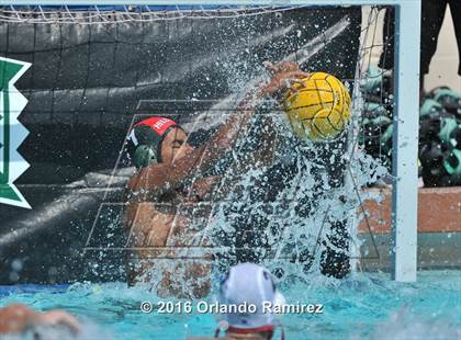Thumbnail 2 in Olympian @ Hilltop photogallery.