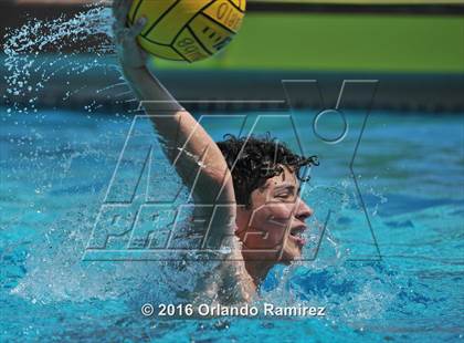 Thumbnail 1 in Olympian @ Hilltop photogallery.