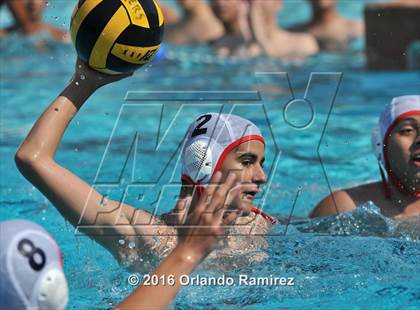 Thumbnail 1 in Olympian @ Hilltop photogallery.