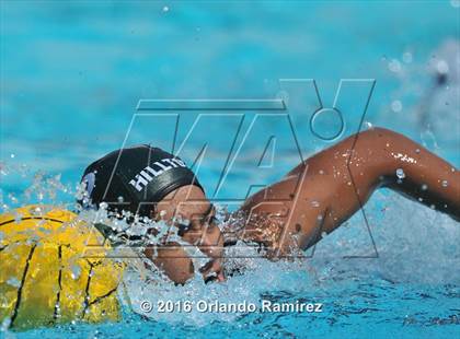Thumbnail 2 in Olympian @ Hilltop photogallery.