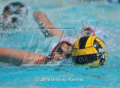 Thumbnail 3 in Olympian @ Hilltop photogallery.