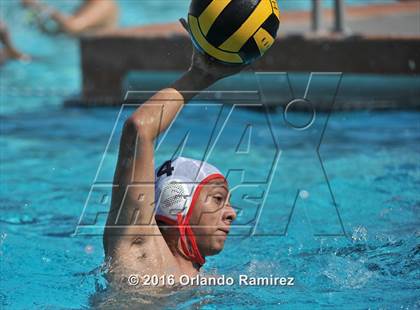 Thumbnail 3 in Olympian @ Hilltop photogallery.