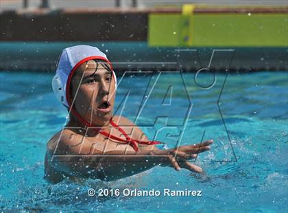 Thumbnail 3 in Olympian @ Hilltop photogallery.
