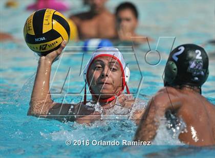Thumbnail 2 in Olympian @ Hilltop photogallery.