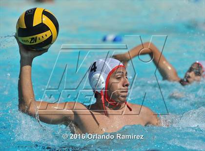 Thumbnail 2 in Olympian @ Hilltop photogallery.