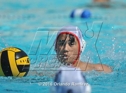 Thumbnail 1 in Olympian @ Hilltop photogallery.