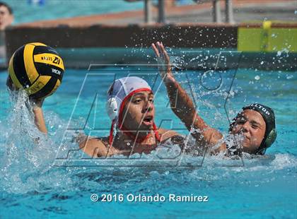 Thumbnail 1 in Olympian @ Hilltop photogallery.