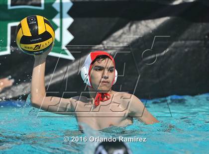 Thumbnail 1 in Olympian @ Hilltop photogallery.