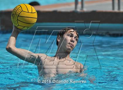 Thumbnail 3 in Olympian @ Hilltop photogallery.