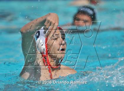 Thumbnail 3 in Olympian @ Hilltop photogallery.