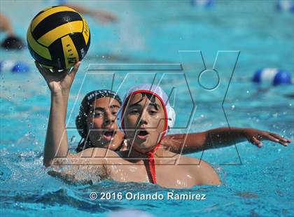 Thumbnail 1 in Olympian @ Hilltop photogallery.