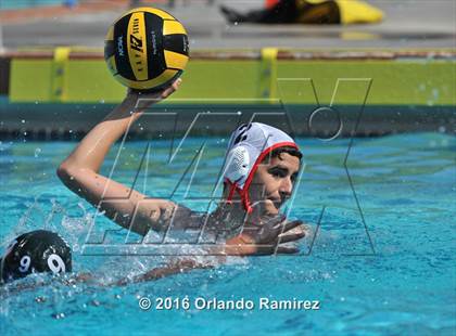 Thumbnail 1 in Olympian @ Hilltop photogallery.